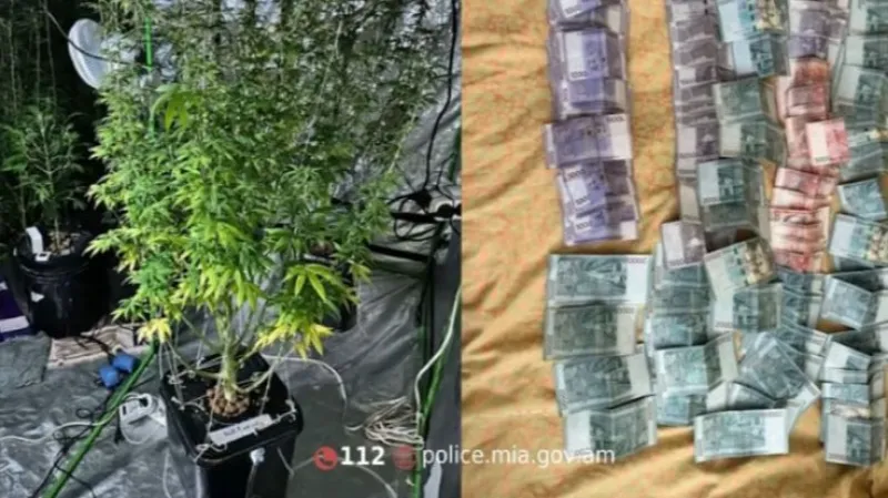 The revelation of criminal police: they had turned the bedroom into a cannabis cultivation greenhouse.
